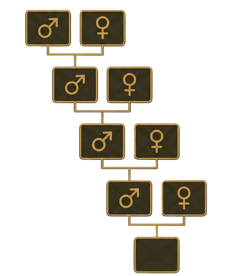 Přímá linie z otcovy strany - schéma